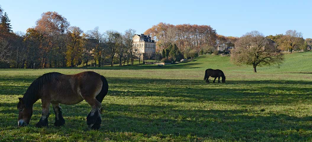 Chateau de Lévinhac - Saint-Côme-d'Olt en Aveyron