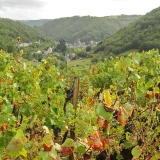 7-valle-estaing.jpg