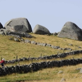 1-aubrac-rando.jpg